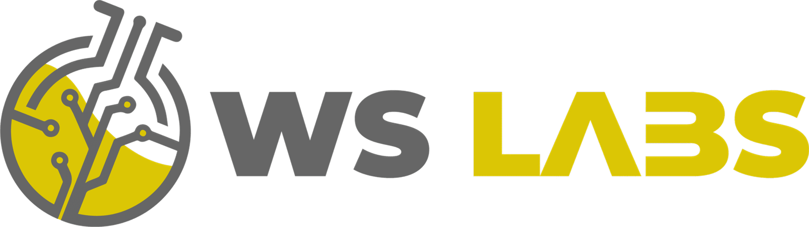WS Labs, empresa fundada por Wilson Silva